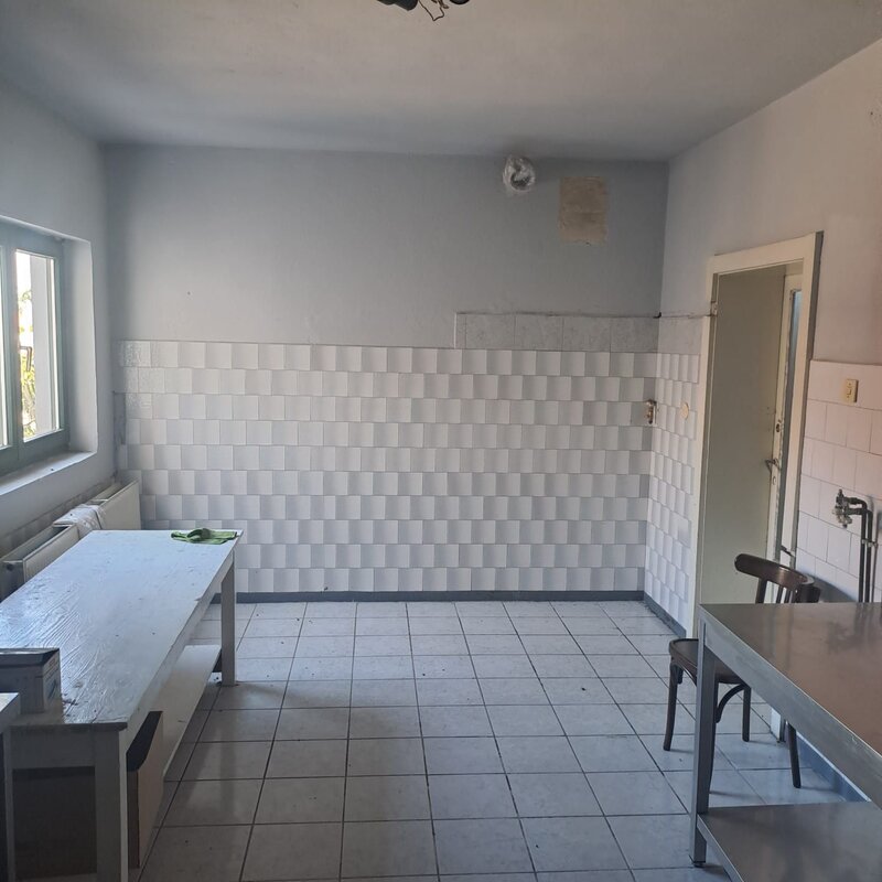 Satu Mare Brasadas.com vinde casa cu 8 cam. 450mp utili teren 7 ari.